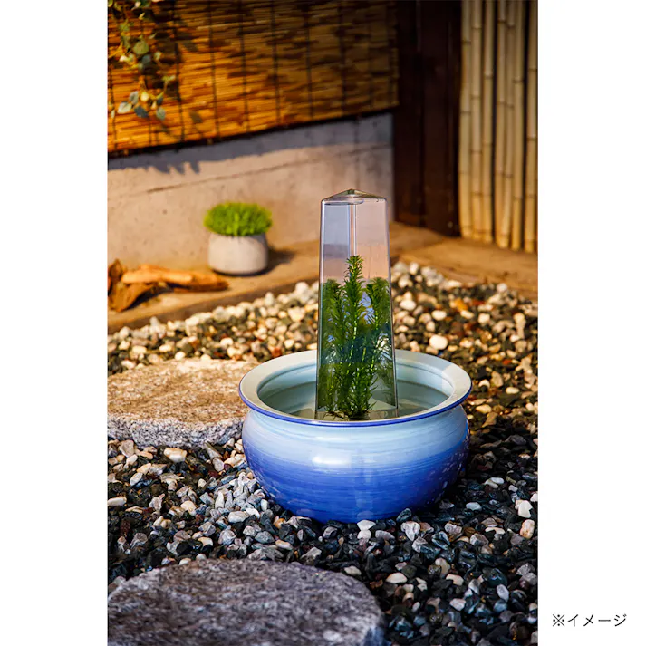 カインズ 飛び出す睡蓮鉢