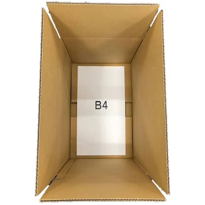 カインズ ダンボール S-2