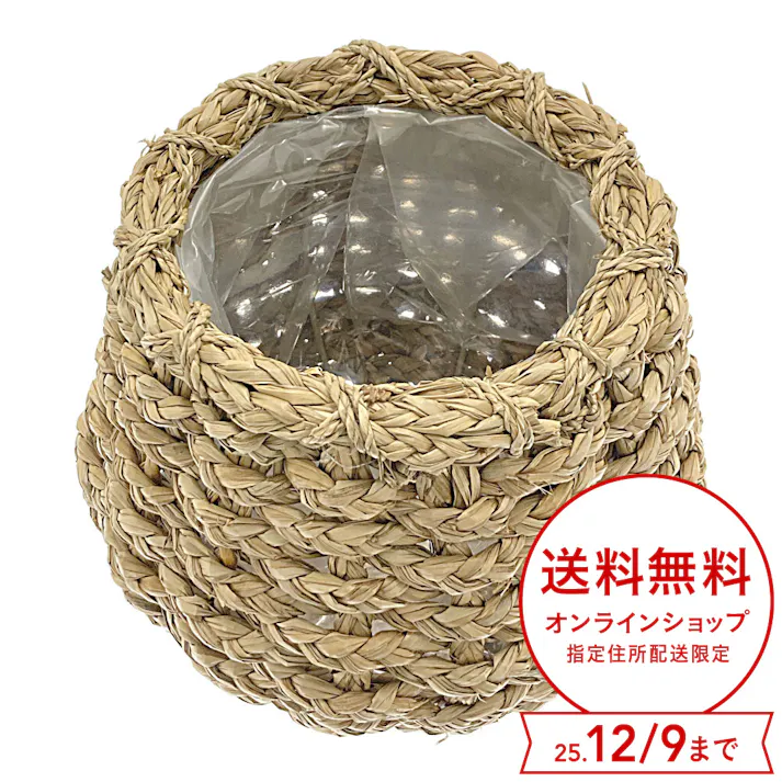 カインズ 天然素材バスケット ルッツ S