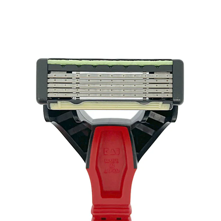 カインズ ディスポレザー 5枚刃首振り 10本入り