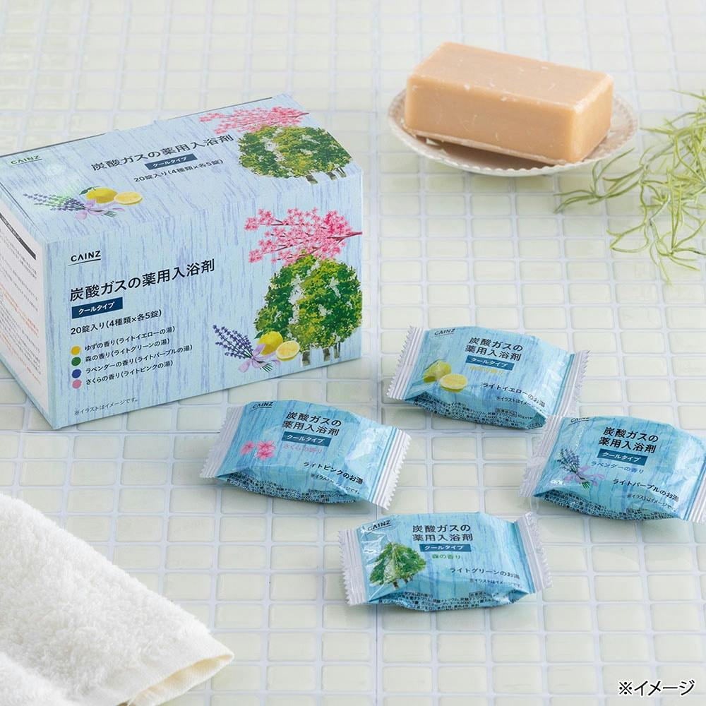 カインズ 炭酸ガスの薬用入浴剤 クールタイプ 40g×20錠(4種類×各