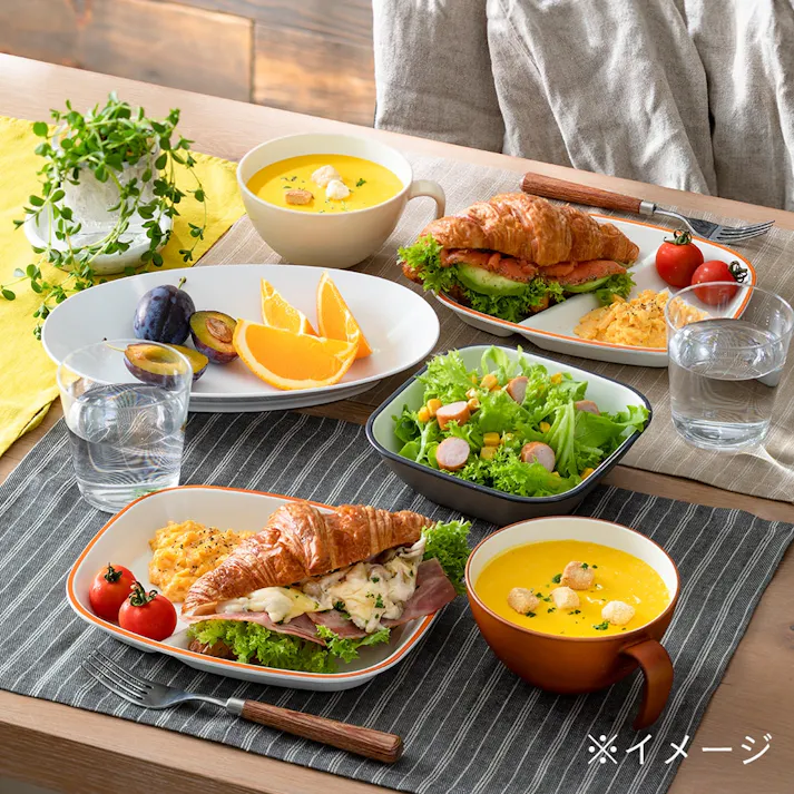 レンジで使えるHAJIKUDRY+ カレー皿白