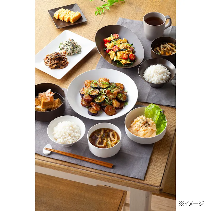 レンジで使えるHAJIKUDRY+ 飯椀大白