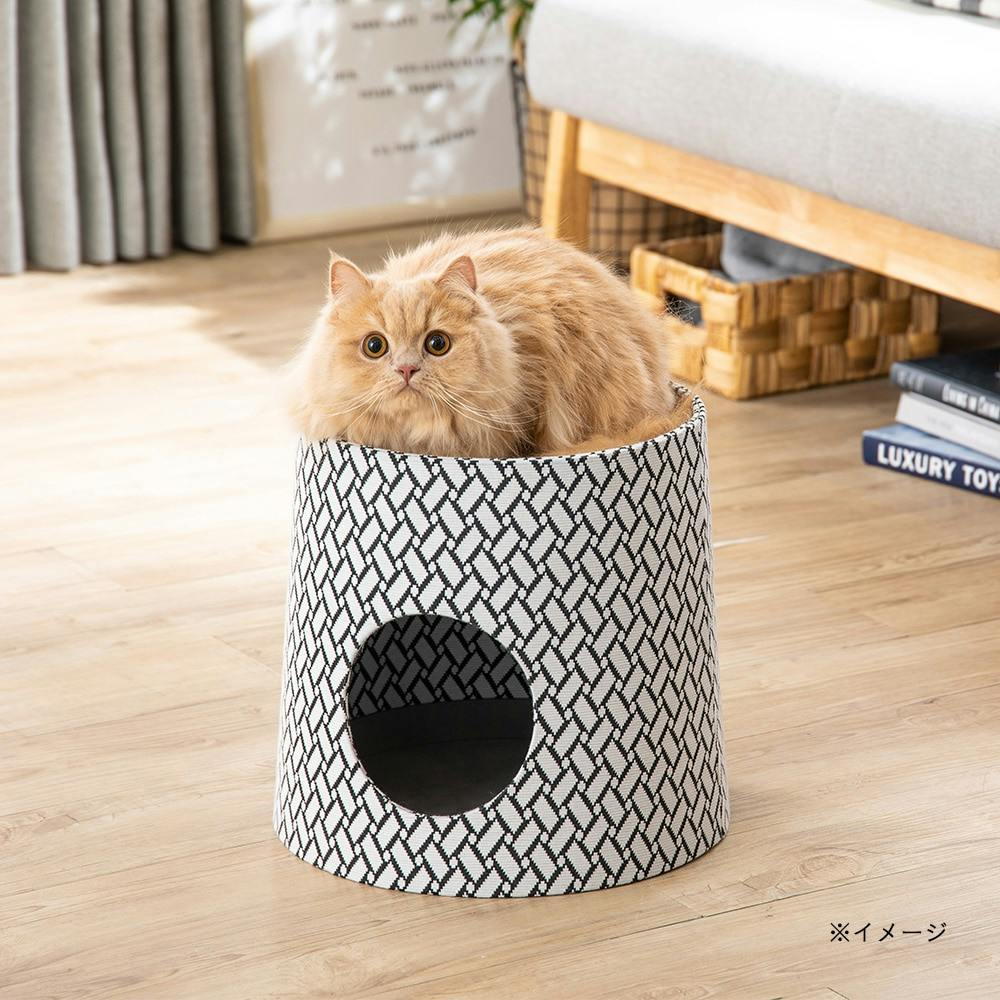 35%OFF GW特別価格 自然栽培で育てたオーツヘイネコポスBOXいっぱい veme.fi