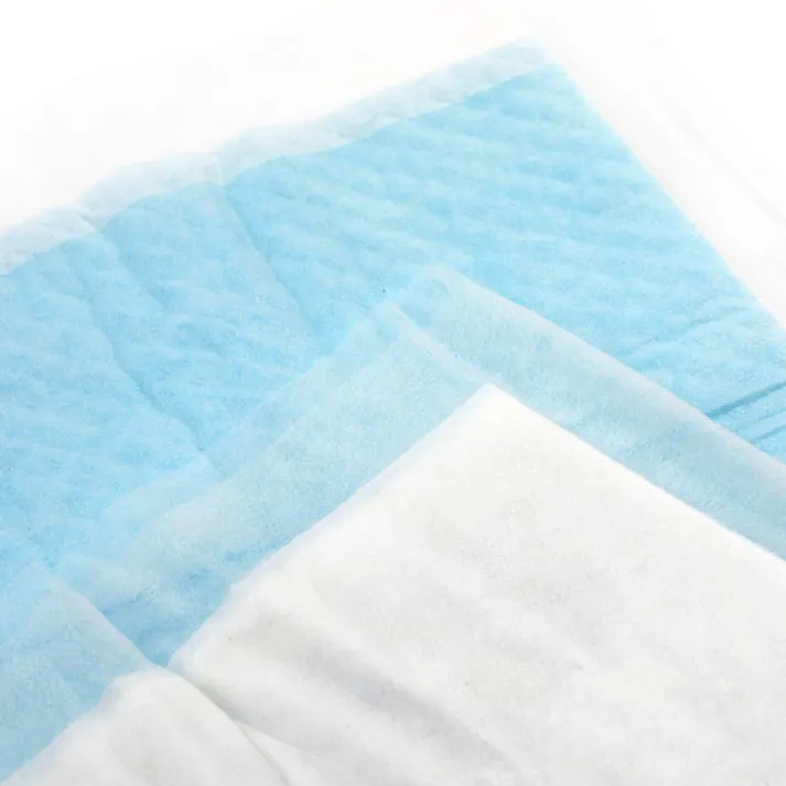 カインズ 両面吸収ペットシーツ レギュラー 72枚 犬用 小型犬約2回分 ふちから漏れたおしっこを裏面で吸収 ペットシート