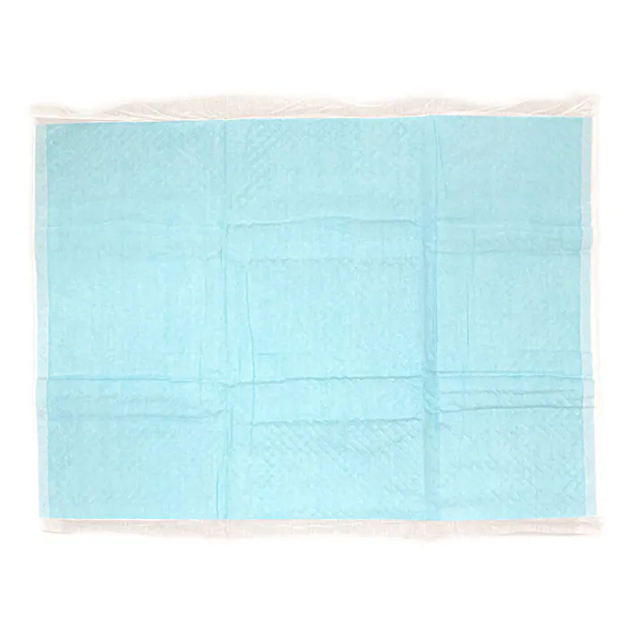 カインズ 両面吸収ペットシーツ ワイド お試し2枚 犬用 小型犬約3~4回分 ふちから漏れたおしっこを裏面で吸収 ペットシート