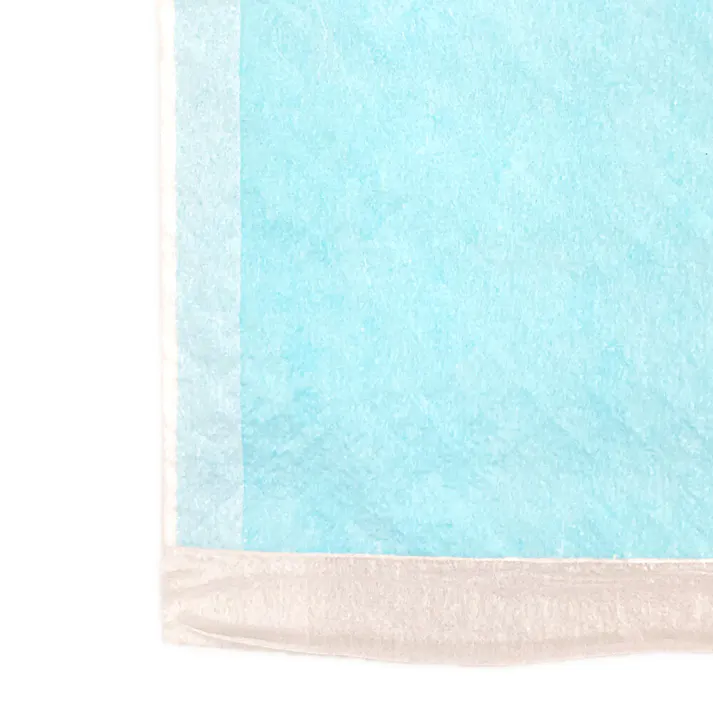 カインズ 両面吸収ペットシーツ ワイド お試し2枚 犬用 小型犬約3~4回分 ふちから漏れたおしっこを裏面で吸収 ペットシート