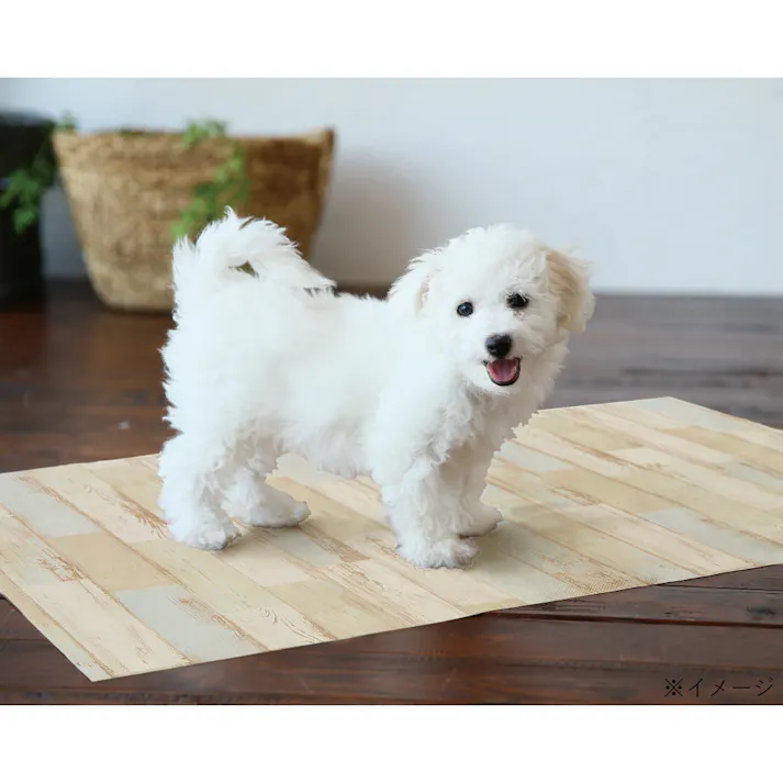 消臭マット 木目 幅60cm 奥行90cm