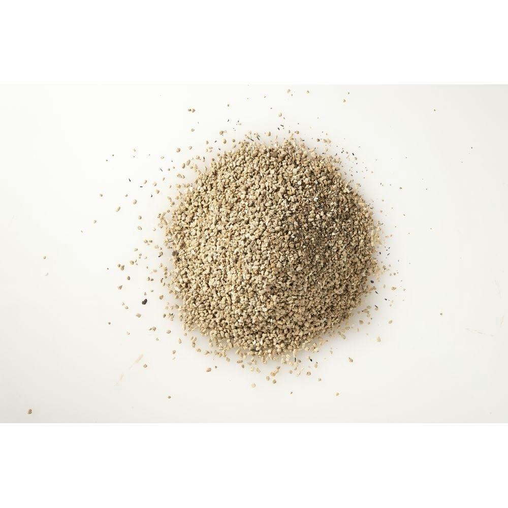 アンジュ様 ご確認用 多肉 アンジュ様 ご確認用 多肉 送料無料の商品の通販・販売｜多肉植物