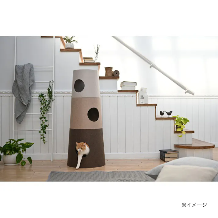 キャットインテリアタワー NECOTA セットカーサ ブラウン