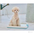 Pet’sOne リビングペットシーツ レギュラーサイズ 6枚(販売終了)