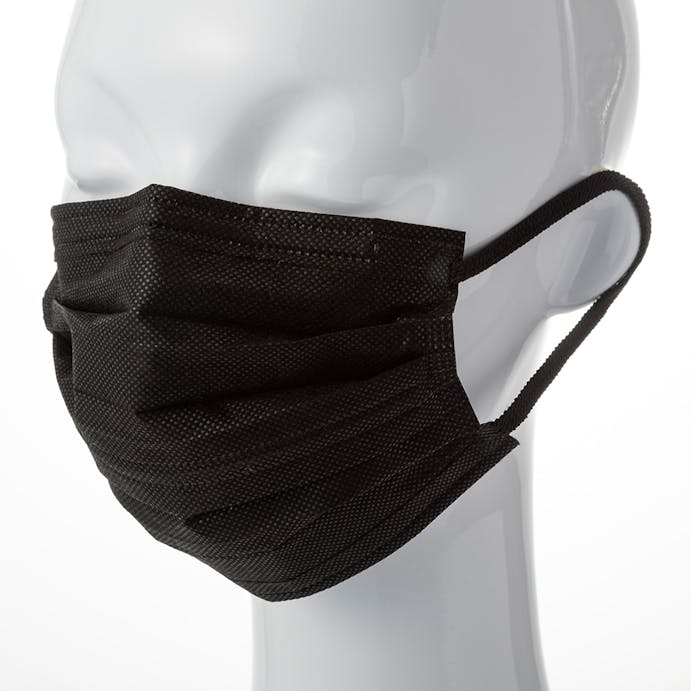 不織布 活性炭フィルター ダブルワイヤーマスク 30枚(販売終了)