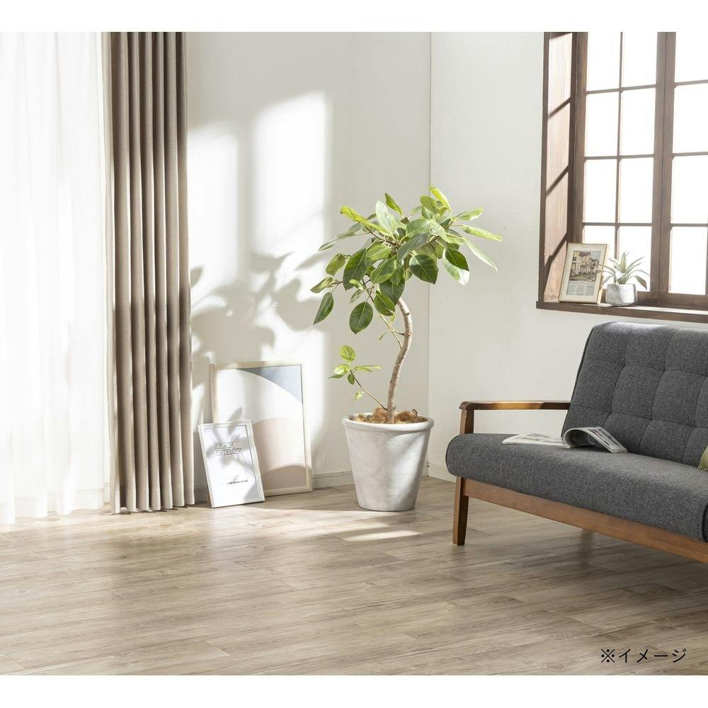 カインズ スタイリッシュポット アンテ M