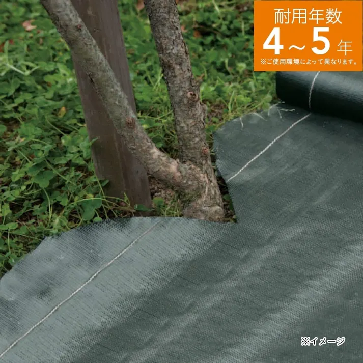 カインズ 高密度防草シート ダークグリーン 幅1×長さ5m