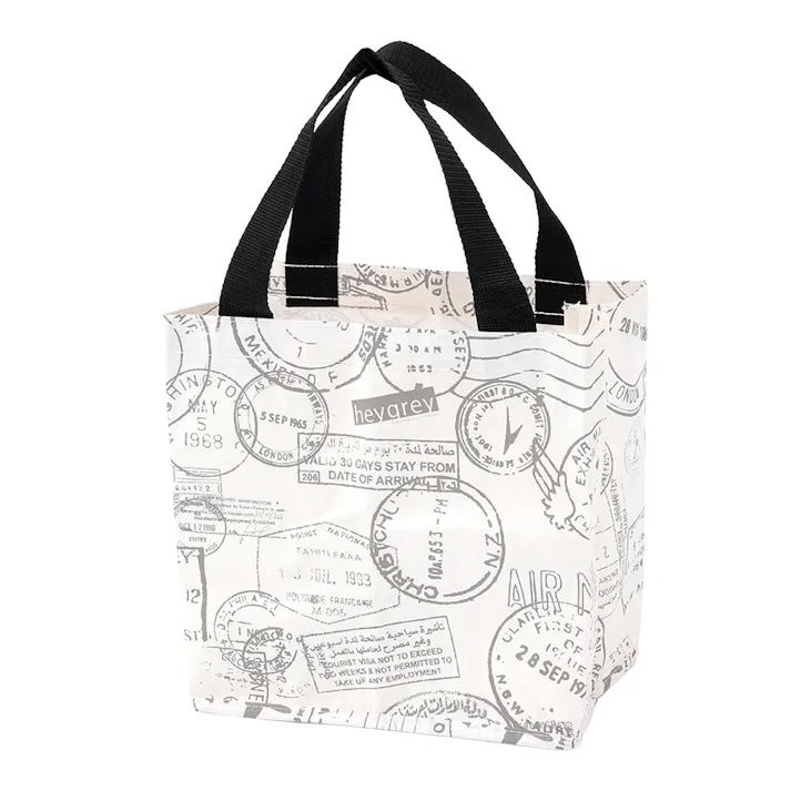 カインズバッグ S AIRMAIL