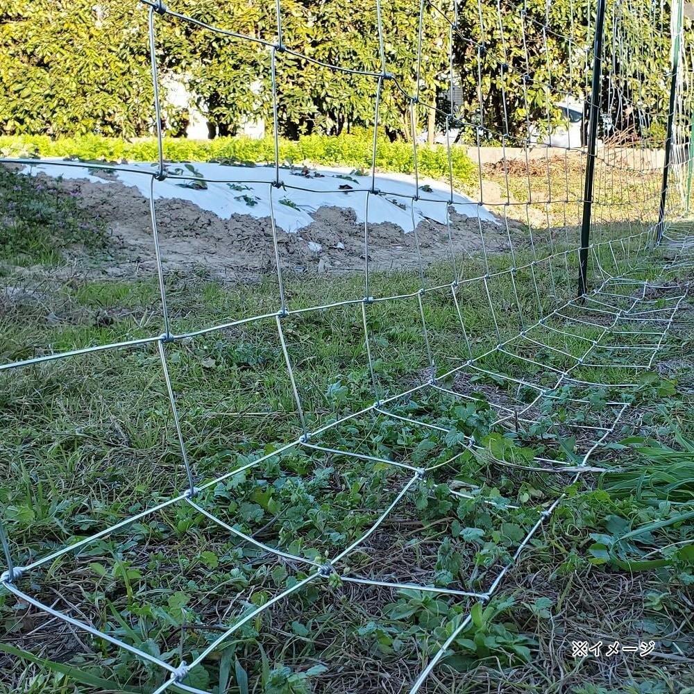 金網（フェンス用ワイヤー）20メートル