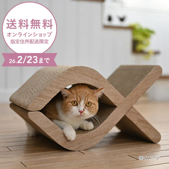 フィッシュスタイルスクラッチャー