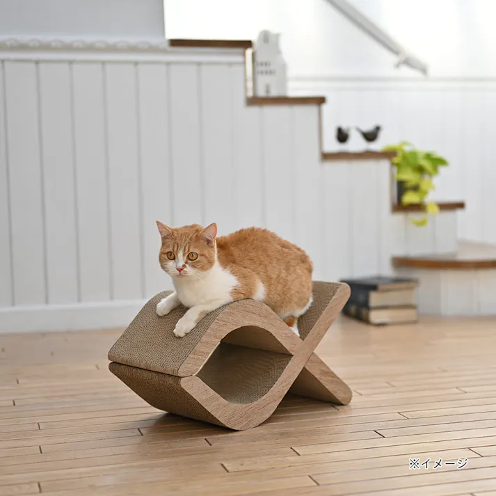 フィッシュスタイルスクラッチャー