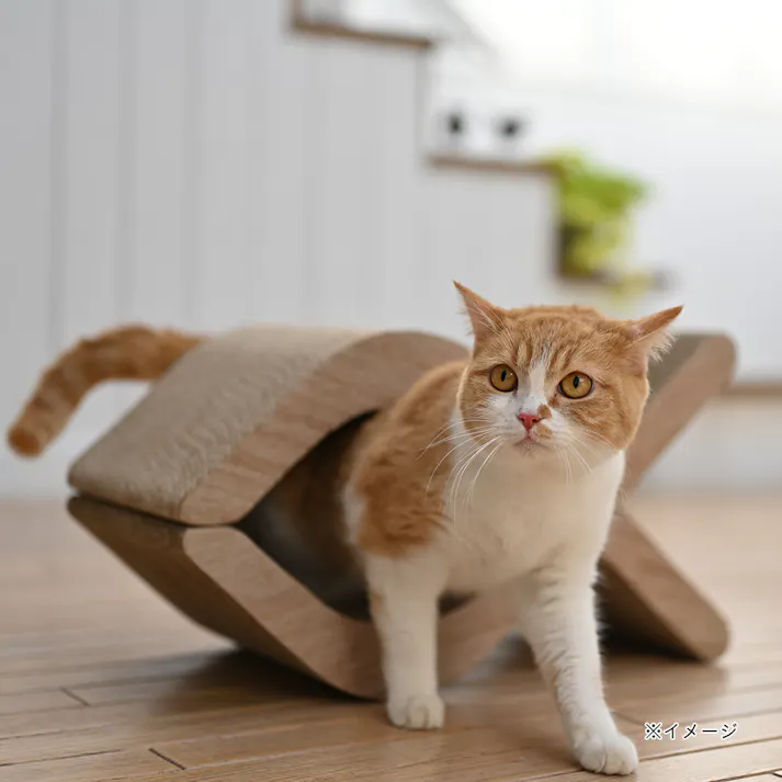 フィッシュスタイルスクラッチャー