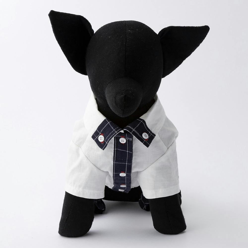 ズボン付シャツ ホワイト MDサイズ ペット服(犬の服)(販売終了