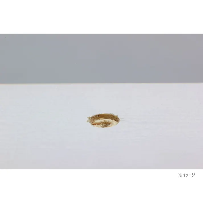 カインズ ライトで固める UV硬化剤 10ml(販売終了)