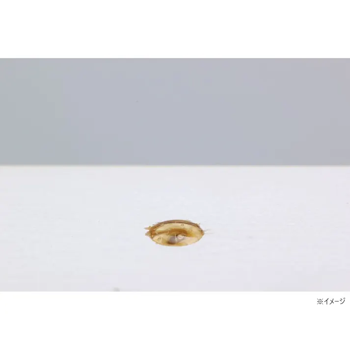 カインズ ライトで固める UV硬化剤 10ml(販売終了)