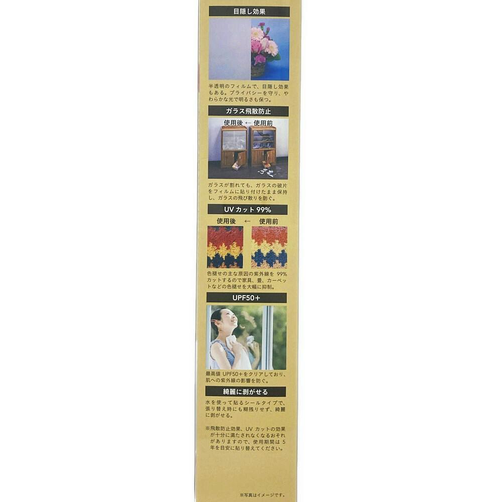 カインズ 目隠し飛散防止フィルム SL 幅46×長さ185cm | 窓フィルム