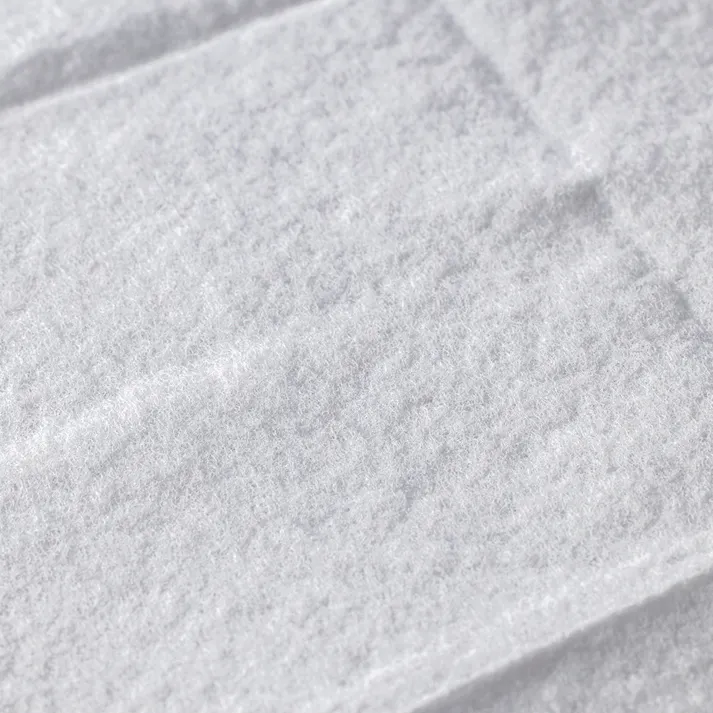 水に溶けやすい トイレクリーナー 24枚入×2パック(販売終了)