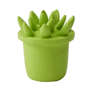 サイレントラテックスおもちゃ 多肉植物