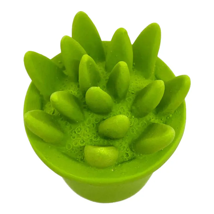 サイレントラテックスおもちゃ 多肉植物