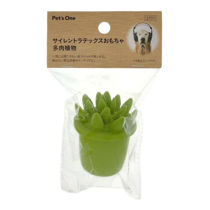 サイレントラテックスおもちゃ 多肉植物