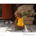 オーバーオール風 クマのプーさん SDサイズ ペット服(犬の服)(販売終了)