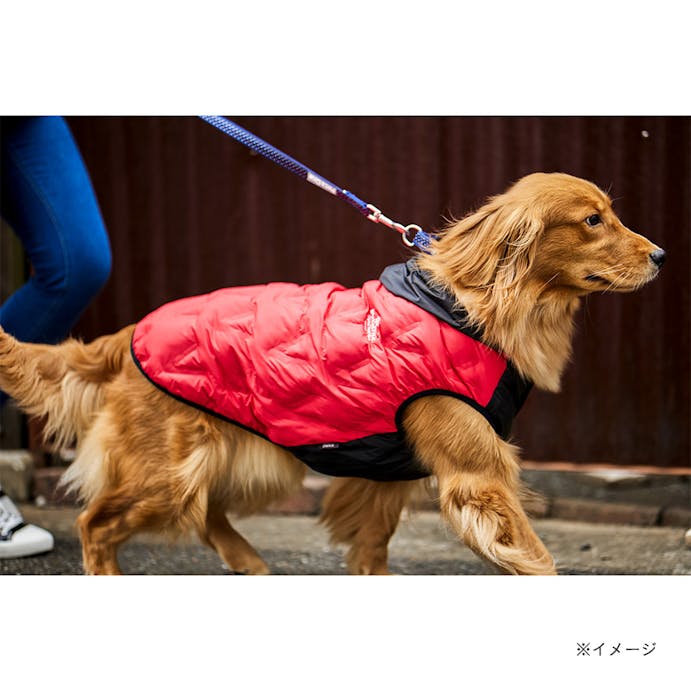 ふわふわパーカーブルゾン レッド Mサイズ ペット服(犬の服)(販売終了)