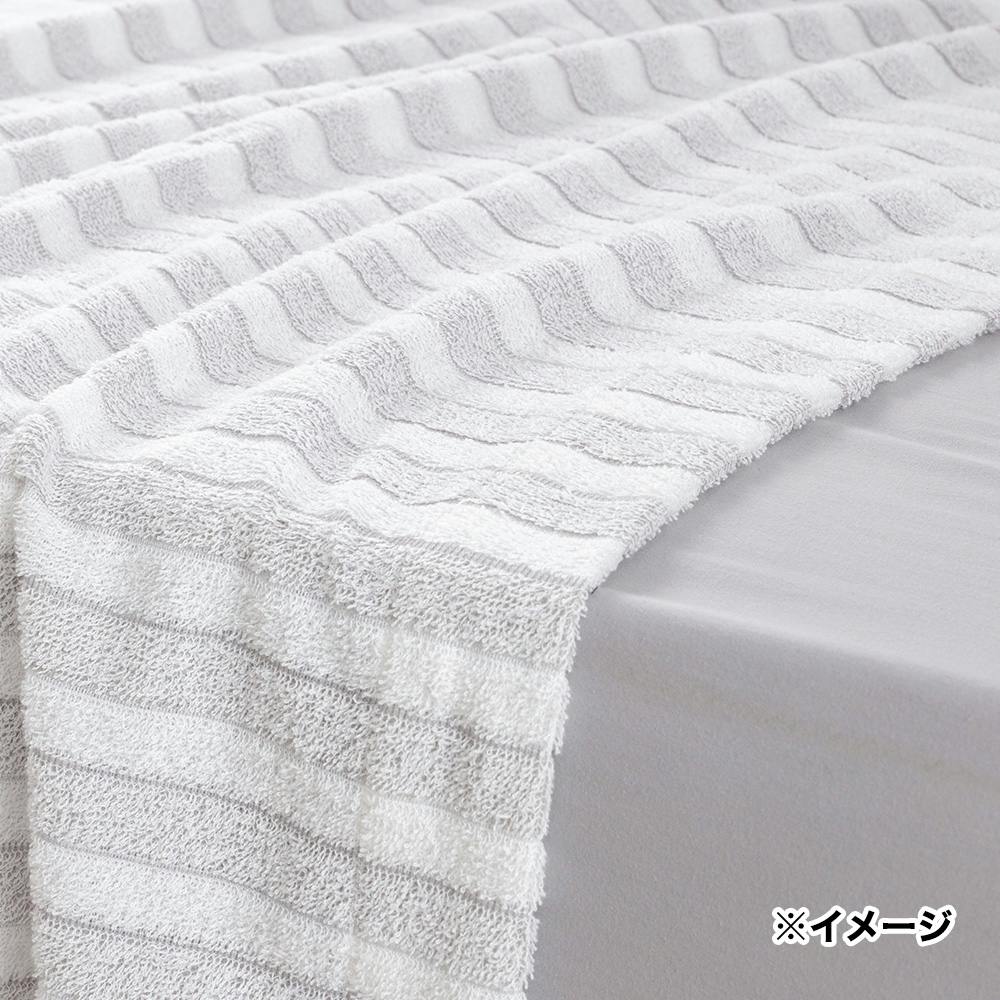 コットンガーゼ ストライプ タオルケット コットンガーゼ ストライプ