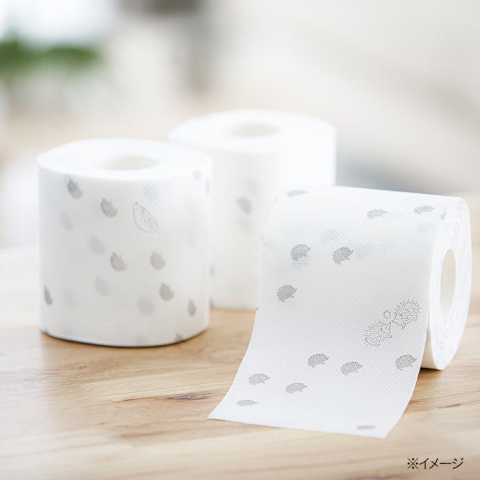 デザイン トイレットロール ダブル 12ロール ホームセンター通販 カインズ デザイン トイレットロール ダブル 12ロール ホームセンター通販 カインズ
