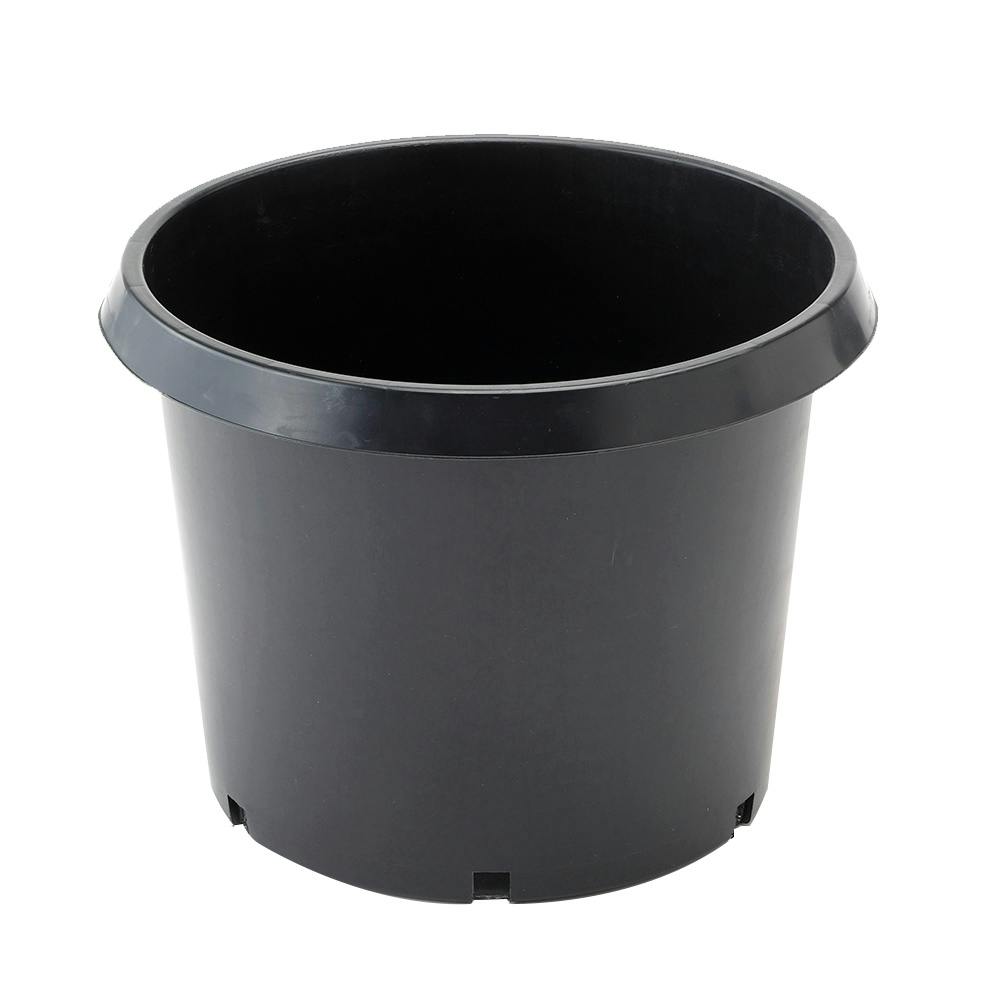 『ナツうー特価』　清水焼　竜仙　大鉢 ナーセリーポット 苗 育て方 苗木部 By 花ひろばオンライン