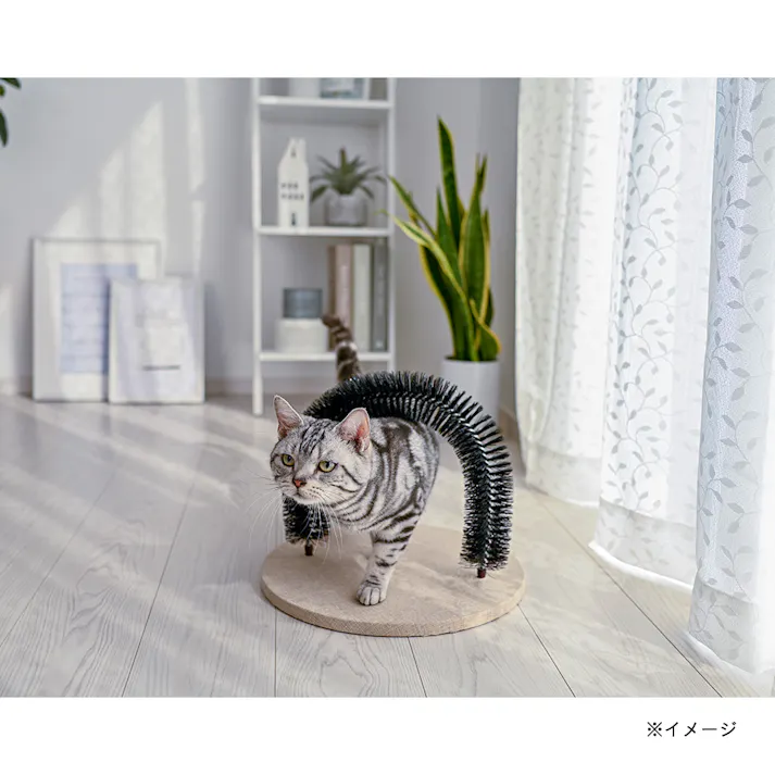 キャットインテリアグルーミングブラシ T35