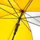 透明窓付き学童ジャンプ傘 55cm イエロー YE-6