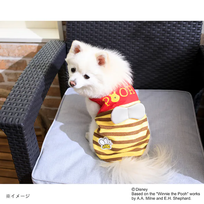 22春夏 ミツバチカットソーくまのプーさん Lサイズ ペット服 犬の服 ホームセンター通販 カインズ