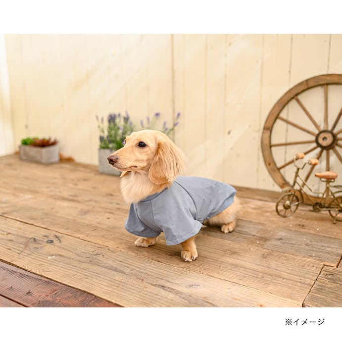 【2022春夏】パッカブルTシャツ ブルーLサイズ ペット服(犬の服)