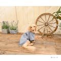 パッカブルTシャツ ブルーSDサイズ ペット服(犬の服)(販売終了)