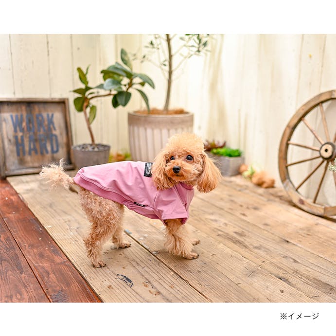 パッカブルTシャツ ピンク SSサイズ ペット服(犬の服)(販売終了)