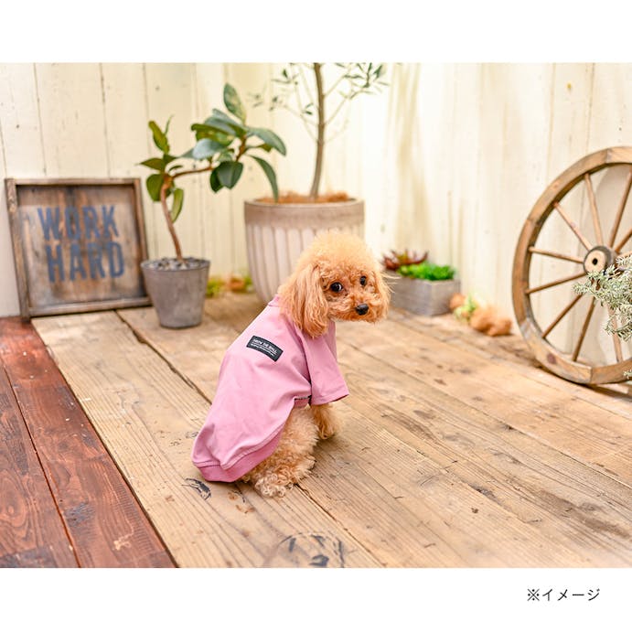 パッカブルTシャツ ピンク SSサイズ ペット服(犬の服)(販売終了)