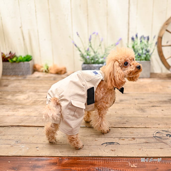 22春夏 ワークサロペット ベージュ Mdサイズ ペット服 犬の服 ホームセンター通販 カインズ