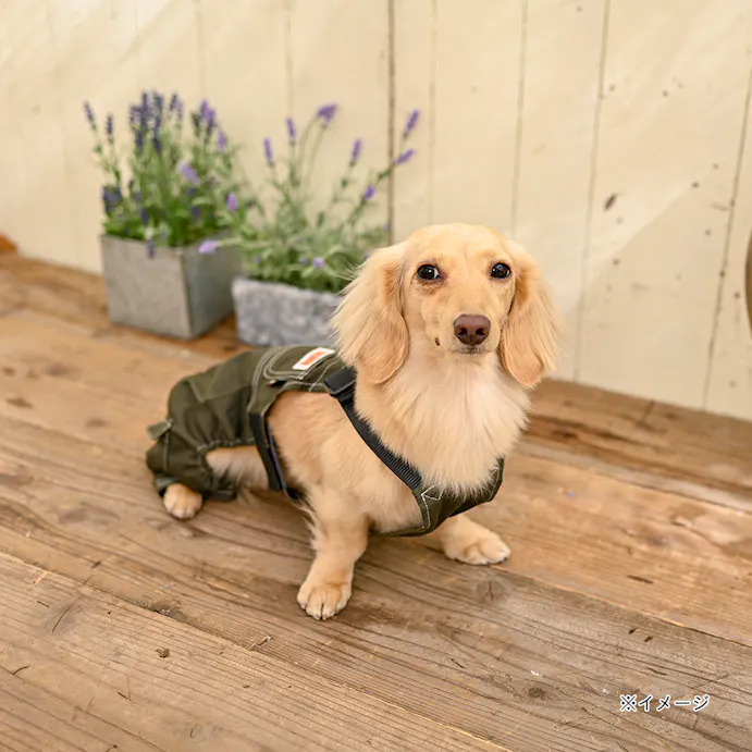 22春夏 ワークサロペット グレー Ssサイズ ペット服 犬の服 ホームセンター通販 カインズ