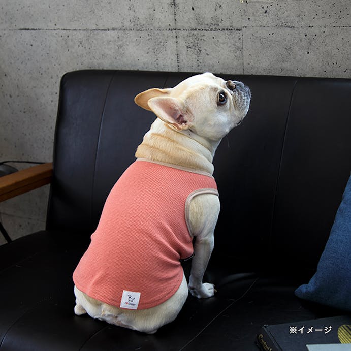 【2022春夏】サマーワッフルカットソー レッド 2Lサイズ ペット服(犬の服)