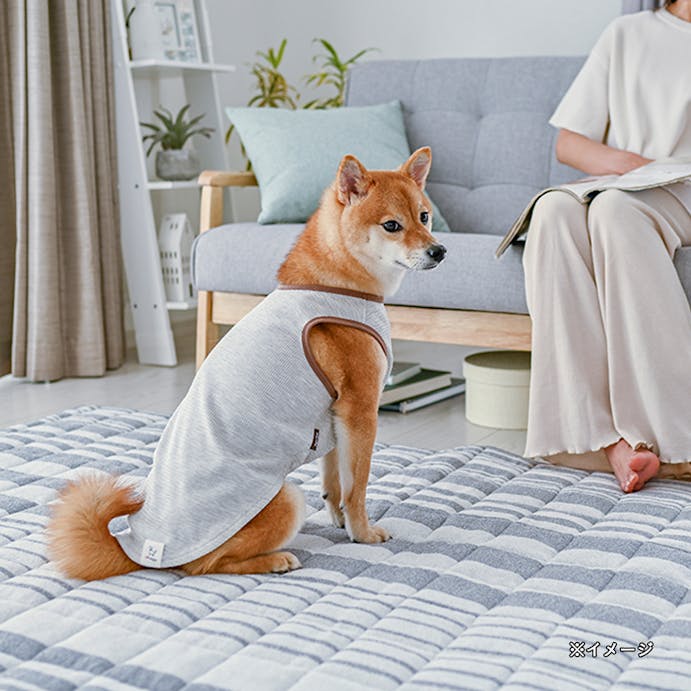 サマーワッフルカットソー ライトグレー3Lサイズ ペット服(犬の服)(販売終了)