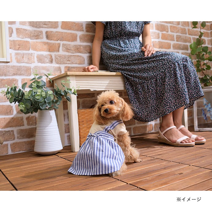 マリンストライプワンピース SSサイズ ペット服(犬の服)(販売終了)