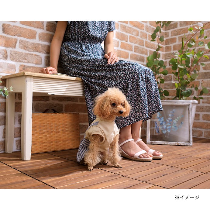 マリンストライプワンピース Sサイズ ペット服(犬の服)(販売終了)