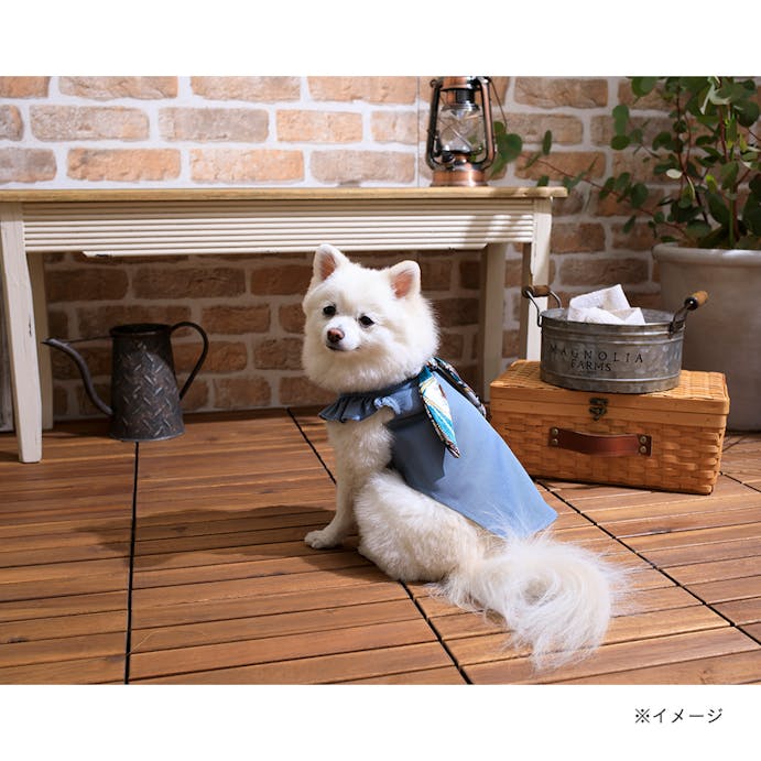 スカーフ付フリルカットソーブルー Mサイズ ペット服(犬の服)(販売終了)